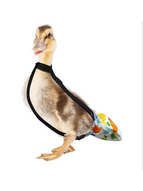 NEW Duckling Diapers for Pet Ducks 1 to 2 lbs, 3 Weeks to 4 Weeks Bab